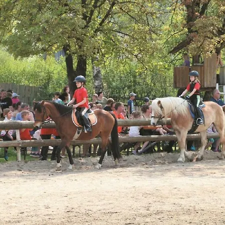 Reiterhof Schober 3* Neukirchen (Lower Bavaria)