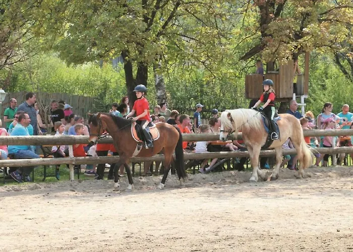 Reiterhof Schober 3* Neukirchen